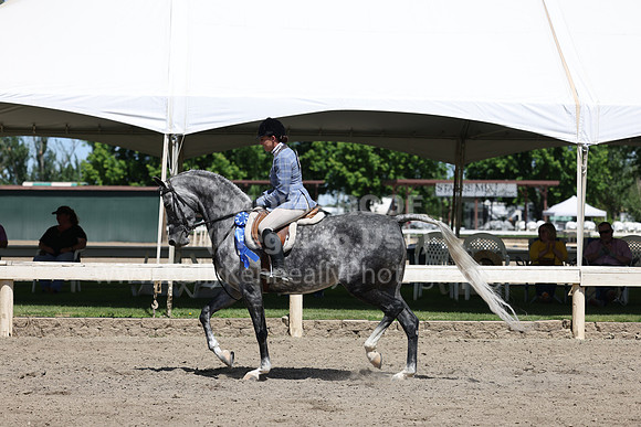 DAHA22_Thurs_0889