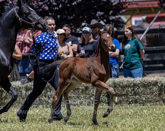 ShermanRanch0524_3201