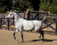 OmElJaya23_0038