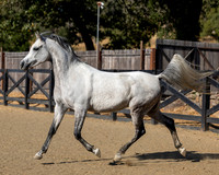 OmElJaya23_0039