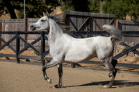 OmElJaya23_0045