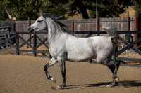 OmElJaya23_0047