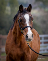 NotorriousDec17_0762