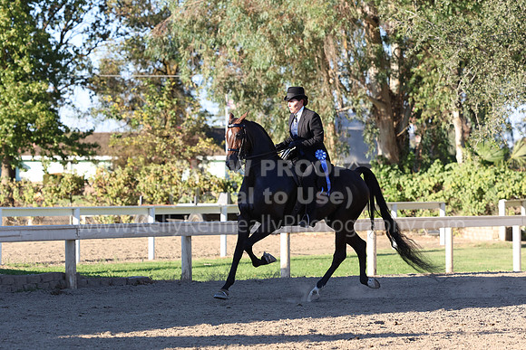 DAHA_FF22_3630