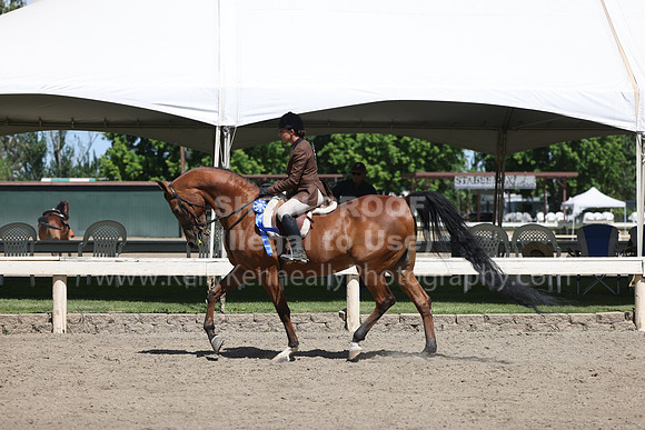 DAHA22_Thurs_0842