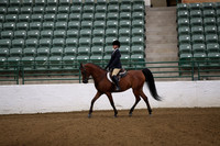 Class 250 Arabian Hunter Pleasure Championship JTR Select