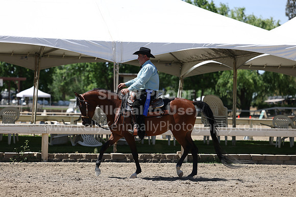 DAHA22_Thurs_1349