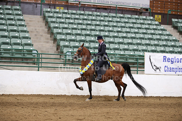 R321_CH_8137