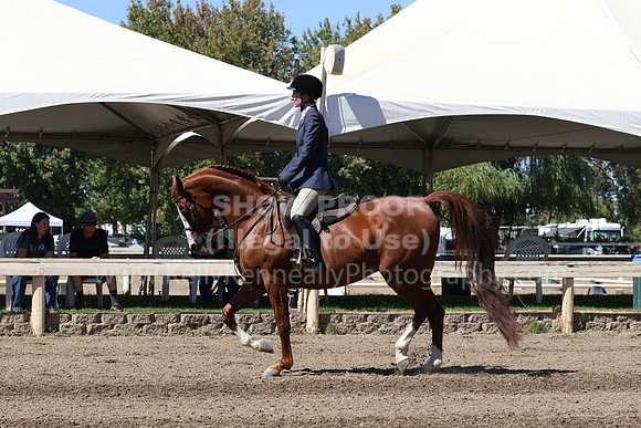 DAHA_FF22_3069