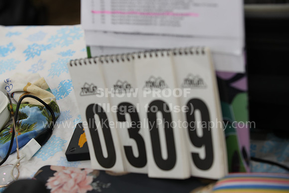 R321_CH_8655