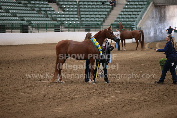 R321_CHB_0958