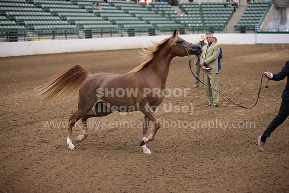 R321_CHB_0974