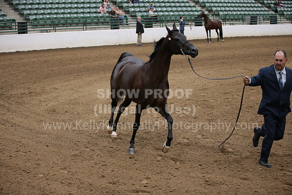R321_CHB_1005