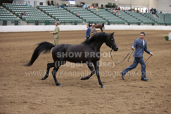 R321_CHB_1059