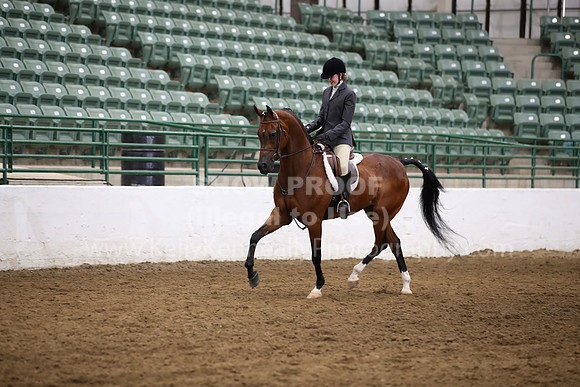 R321_CH_9468