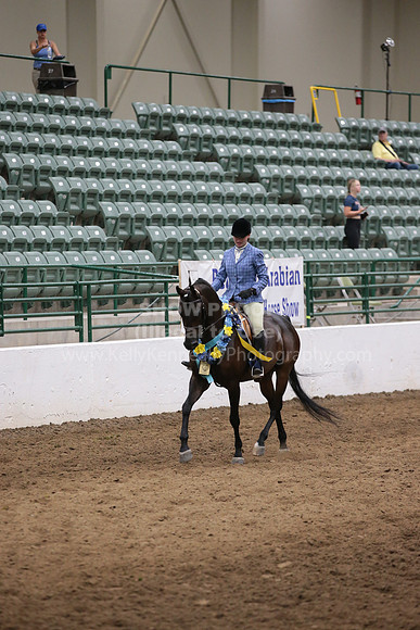 R321_CHB_1313