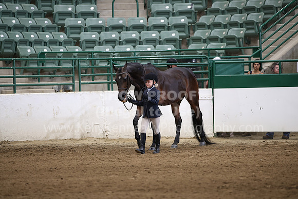 R321_CH_0789