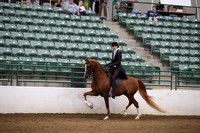 R321_CH_0988