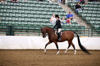 R321_PS_Mon_0370