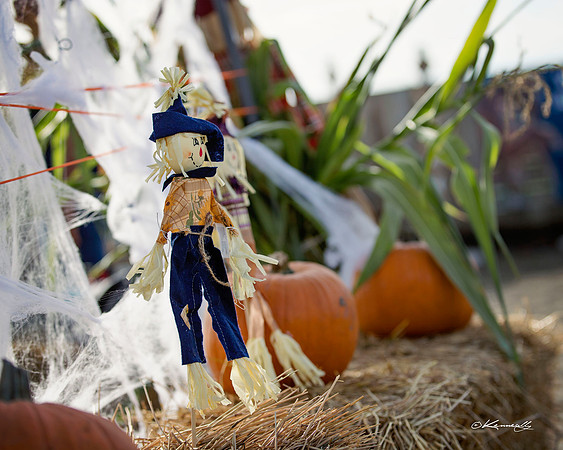 2016_HalloweenOpenShow_492