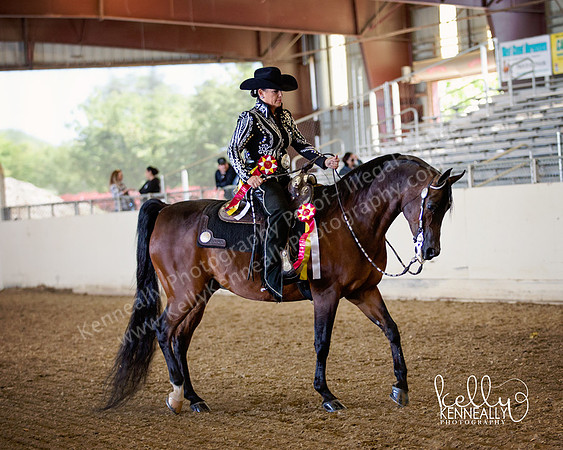 AHANC_Show18_FriPM_1716