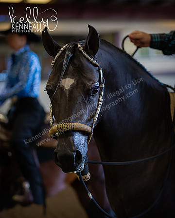 AHANC_Show18_ThursAM_0085