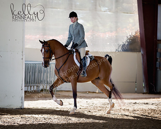 AHANC_Show18_ThursAM_0108