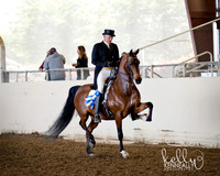 AHANC_Show18_ThursAM_0325