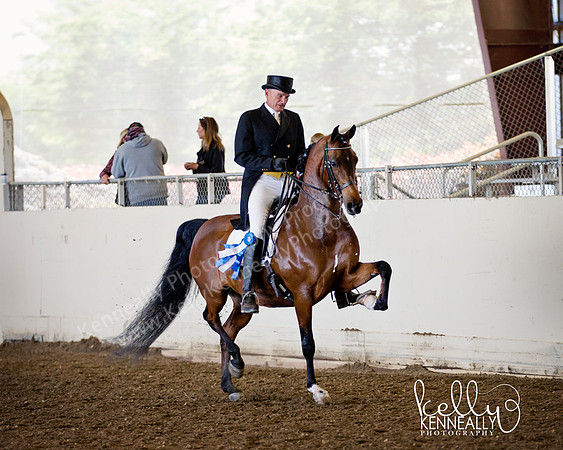 AHANC_Show18_ThursAM_0325