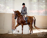 AHANC_Show18_ThursAM_0346