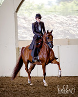AHANC_Show18_ThursAM_0395