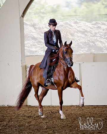 AHANC_Show18_ThursAM_0395