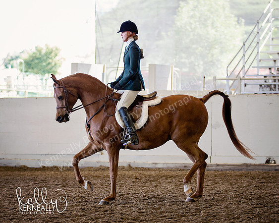 AHANC_Show18_ThursAM_0428