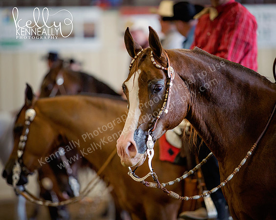 AHANC_Show18_ThursPM_625