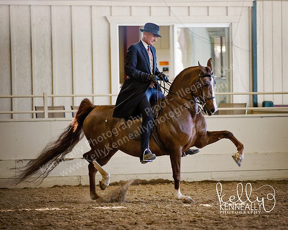 AHANC_Show18_ThursPM_1185