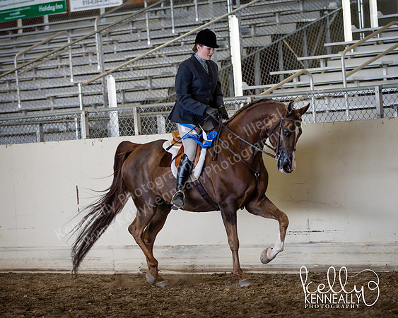 AHANC_Show18_ThursPM_946