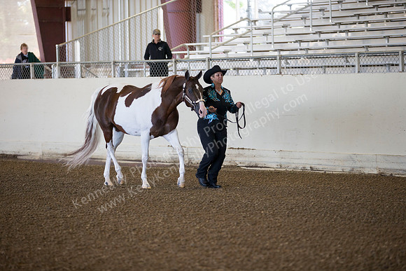 AHANC_Show18_ThursAM_0012
