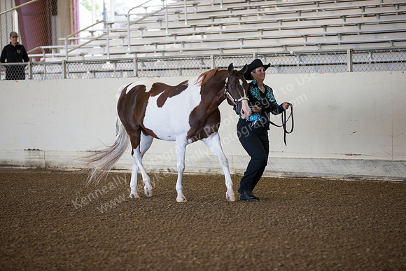 AHANC_Show18_ThursAM_0013