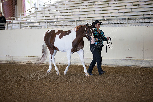 AHANC_Show18_ThursAM_0014