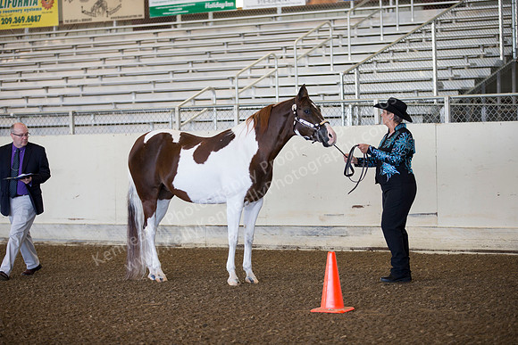 AHANC_Show18_ThursAM_0016
