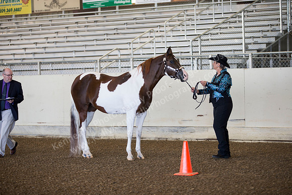AHANC_Show18_ThursAM_0017
