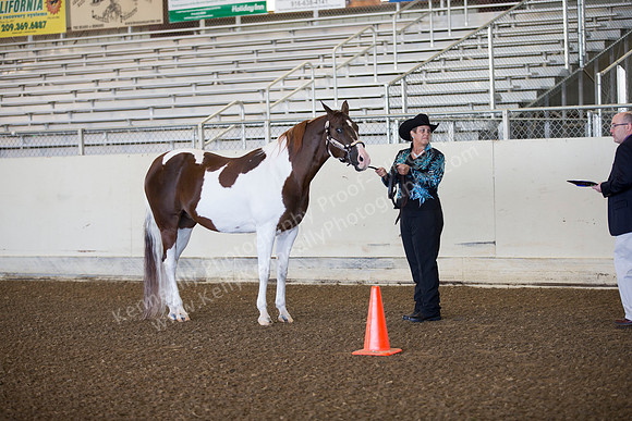 AHANC_Show18_ThursAM_0018