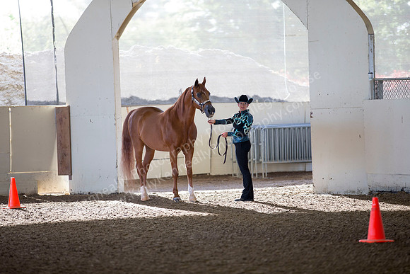 AHANC_Show18_ThursAM_0023