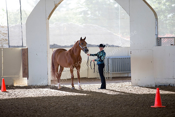 AHANC_Show18_ThursAM_0024