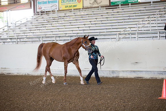 AHANC_Show18_ThursAM_0025
