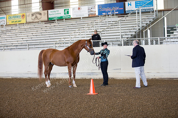AHANC_Show18_ThursAM_0026