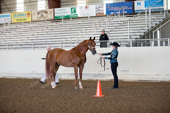 AHANC_Show18_ThursAM_0027