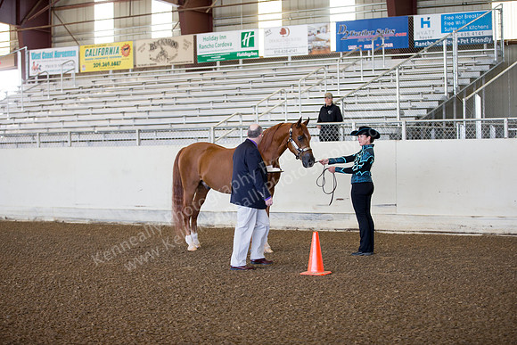 AHANC_Show18_ThursAM_0028