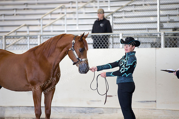 AHANC_Show18_ThursAM_0029