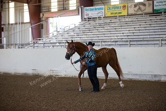 AHANC_Show18_ThursAM_0030